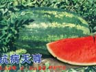 [鿴ϸϢ]
