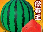 [鿴ϸϢ]
