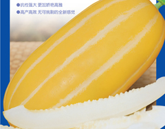 [鿴ϸϢ]